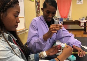 AP Biology Transformation Lab