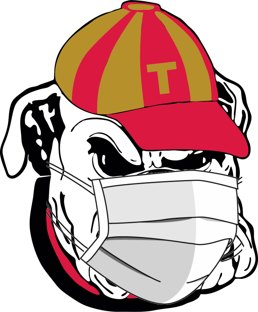 Masked bulldog